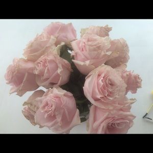 Meet your Posher, Karolina